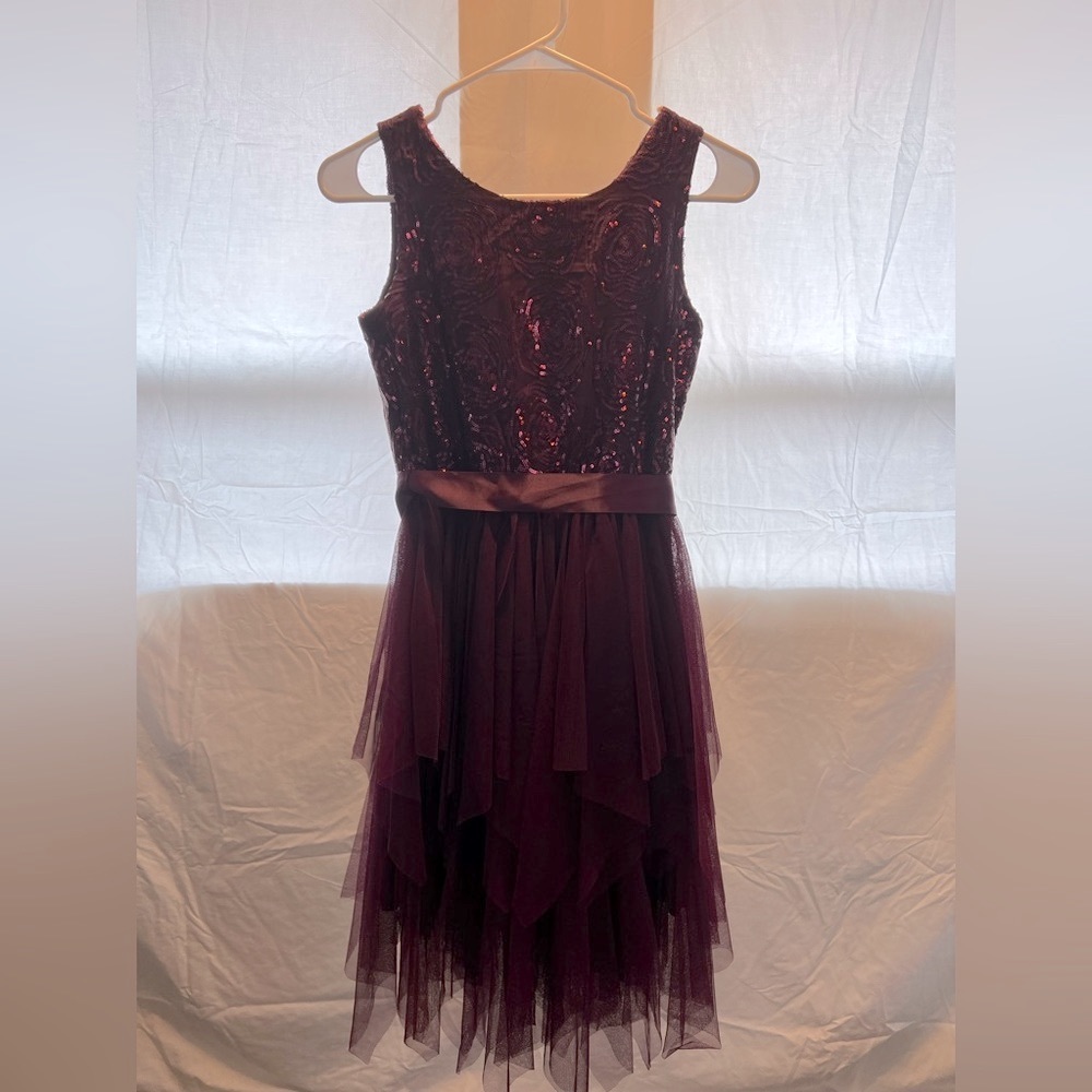 Purple holiday dress. Lightly worn. Cute and classic! (Size 14 girls)